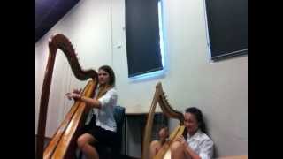 Weens Bananas and Blow performed on harps [upl. by Bassett509]