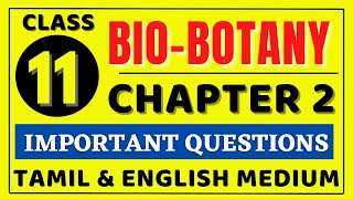 11th Bio Botany Chapter 2 important Questions  11th Biology important Questions 2022  Kalvi Tube [upl. by Baggott]