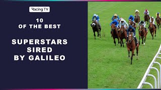 10 of the Best Galileos offspring superstars [upl. by Ahseral427]