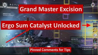 Grand Master Excision Ergo Sum Catalyst Tips in pinned comment  ShadowBadass [upl. by Onilecram]