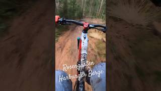 Harburger Berge  Rosengarten  mtb downhilltrail trails freeride enduro emtb emtbenduro [upl. by Nayek268]