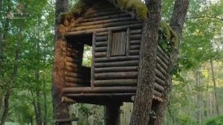 beautiful wooden house designbeautiful wooden house in forest [upl. by Flossi463]