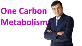 One Carbon Metabolism [upl. by Diba]