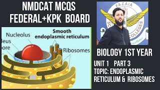 Endoplasmic reticulum amp Ribosome class 11 MDCAT MCQS Preparation NBFKPK Urdu Hindi [upl. by Hamil201]