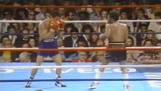 WOW WHAT A KNOCKOUT  Aaron Pryor vs Alexis Arguello I Full HD Highlights [upl. by Eiramlatsyrk747]