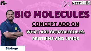 Biomolecules Class 11 Biology NEET  Biomolecules Proteins Lipids [upl. by Lanahtan]