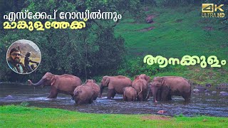 Munnar Escape road to Mankulam  Anakkulam  Ep 4 of Idukki hill stations [upl. by Pugh628]