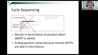 14 mtDNA PCR and Sequncing 200420 [upl. by Abbotson98]