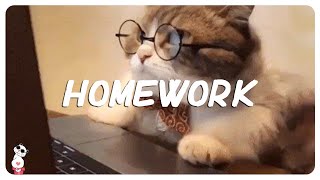 Songs to listen to while doing homework  Best relaxing songs for studying [upl. by Nitsid]