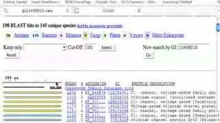 Blink Blast link  automatic BLAST searches at NCBI [upl. by Emalee673]