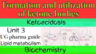 Formation and utilization of ketone bodies  ketoacidosis Biochemistry  Full explanation [upl. by Sargent595]