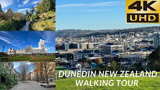 Dunedin New Zealand Walking Tour 4K [upl. by Alicec]