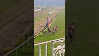 Horse Race 🏇 in Kolkata RCTC shortvideo viralvideo video horselover horseracing rctclassic [upl. by June]