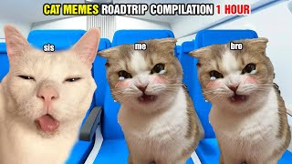 CAT MEMES ROAD TRIP Compilation Full 48 Hours [upl. by Lauri]