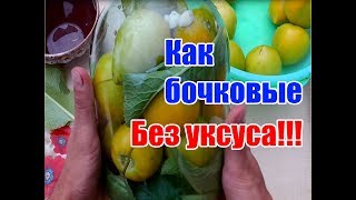 Зеленые помидоры холодного посола  Как бочковые Заготовки на зиму  Без уксуса [upl. by Amairam820]