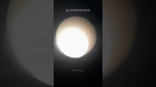 7007676700 Reflector Telescope  Observing Supermoon July 3 2023 2000  shorts supermoon moon [upl. by Nayb]