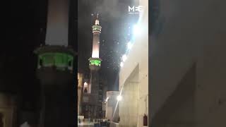 Locusts Plague Mecca Grand Mosque [upl. by Clarie247]