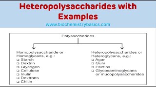 Heteropolysaccharides With Examples  Glycosaminoglycans Biochemistry [upl. by Pricilla]