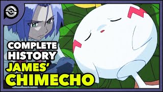 Pokemon Explained James Chimecho  Complete History [upl. by Glenn]