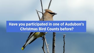 Why You Should Join the Annual Audubon Christmas Bird Count [upl. by Barbour]