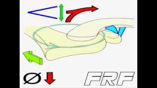 5Movimiento acromioclavicularAcromioclavicular motion [upl. by Griswold]