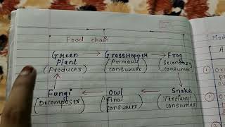 Mode of Nutrition Difference between Autotrophic nutrition amp Heterotrophic nutrition explain [upl. by Jariv486]