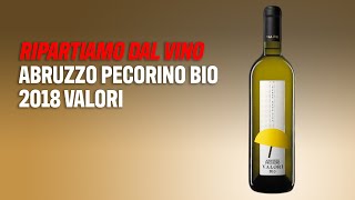 Ripartiamo dal vino Abruzzo Pecorino Bio 2018 Valori [upl. by Valente512]