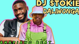 DJ stokie X Daliwonga amapiano beat [upl. by Aikemet]