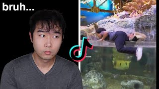 TikTok does it again  Fish Tank Review 221 [upl. by Sivi298]