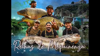 CARPFISHING REINAS DE MEQUINENZA [upl. by Notlok341]