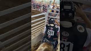 Kampj limestone arena bull ride [upl. by Ayatal]