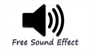 man laughing sound effect free sound effect [upl. by Royal776]