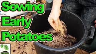 How To Grow First Early Potatoes In Containers 2018 Best Crops Ever [upl. by O'Driscoll]