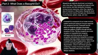 Group 45 Basophils [upl. by Htiek]