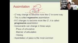 English Phonology Lecture 5 2 Aspects of connected speech [upl. by Ennayhc]