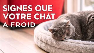 COMMENT COMPRENDRE que votre CHAT est inconfortable à cause du FROID [upl. by Ailey841]