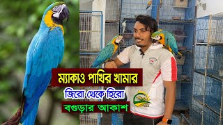 ম্যাকাও পাখির খামার করে সফল বগুড়ার আকাশ।ম্যাকাও পাখির দাম । The famous Macaw bird farm in Bangladesh [upl. by Woodruff682]