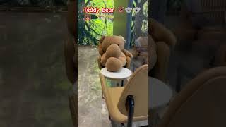 Teddy bearbollywood teddy bear 🐨🐨🐻🐨🐻 youtubeshorts [upl. by Lledrac556]