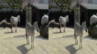 Real 3D Zoologischer Stadtgarten Karlsruhe [upl. by Virginia]