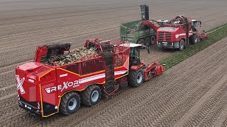 GRIMME REXOR 6200 amp REXOR 6300 am Rübenroden  FENDT 936 mit HAWE RUW 4000  DEHR AGRARSERVICE  4K [upl. by Wil39]