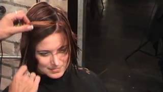 Asymmetrical Angled A Line Bob Haircut 2of2 featuring Sharon Sovinski [upl. by Vladamar414]