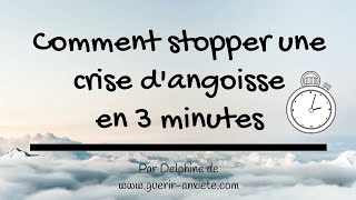 Crise dAngoisse Que Faire  Comment Stopper Une Crise dAngoisse en 3 minutes [upl. by Philender486]