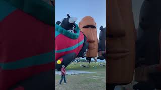 TAIWAN INTERNATIONAL HOT AIR BALLOON FESTIVAL shortvideo travel balloonfestival [upl. by Petula519]