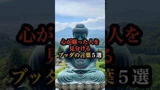 心が腐った人を見分けるブッダの言葉５選 ブッダ 仏教 名言 [upl. by Yromas]