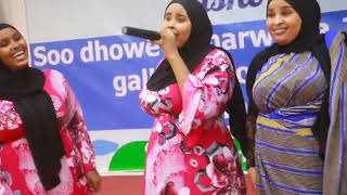 AYAAN ILWAAD  HEES CUSUB NAWAD LIGUUR OFFICIAL MUSIC VIDEO 2024 [upl. by Lulu908]