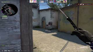 CSGO Legit Cheating with iniuriaus FREE config [upl. by Anileuqcaj861]