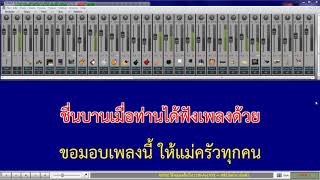 ไอ้หนุ่มเครื่องไฟ เสรีย์ cover คาราโอเกะ by โปรเจคโซน่า [upl. by Ybocaj]