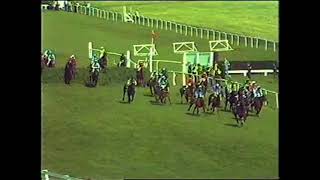 1983 Grand National Handicap Chase Aintree [upl. by Waly978]