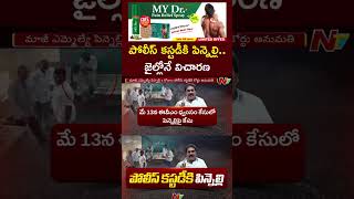 Pinnelli Ramakrishna Reddy పోలీస్‌ కస్టడీకి పిన్నెల్లి అనుమతించిన కోర్టు  NTV [upl. by Ahsieyt]