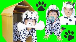 ★わんちゃんごっこ！「ダンボールで犬小屋作り～」★made doghouse in cardboard box★ [upl. by Carbo]